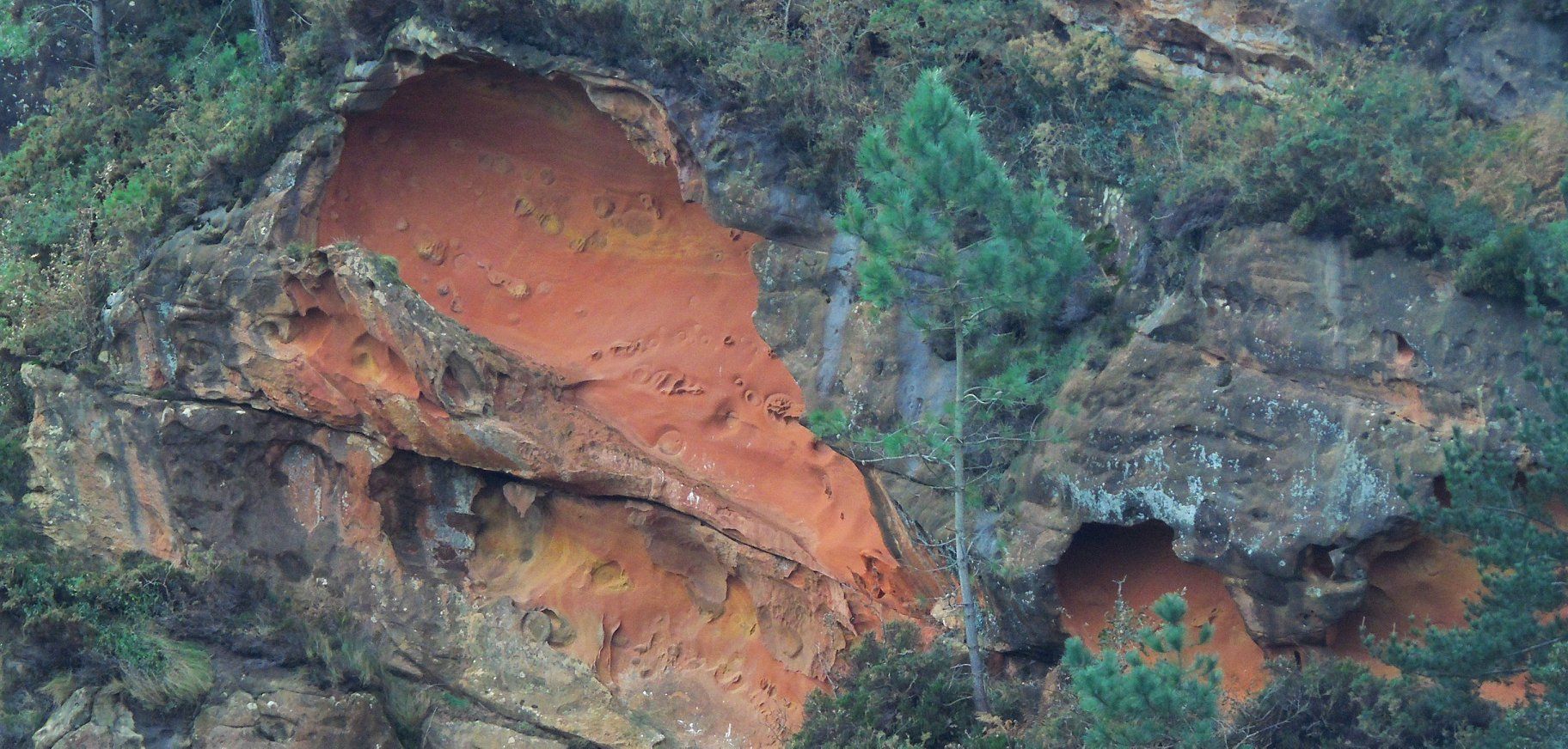 76969146_10217638820033841_7703551653907005440_o