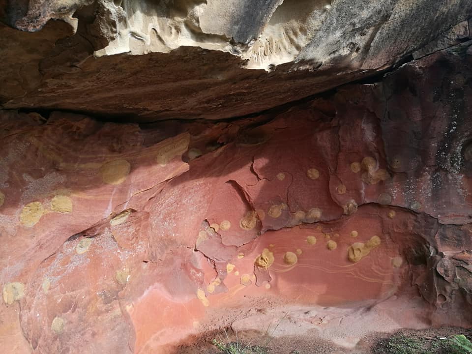 77028387_10217639060159844_1027917276025716736_n