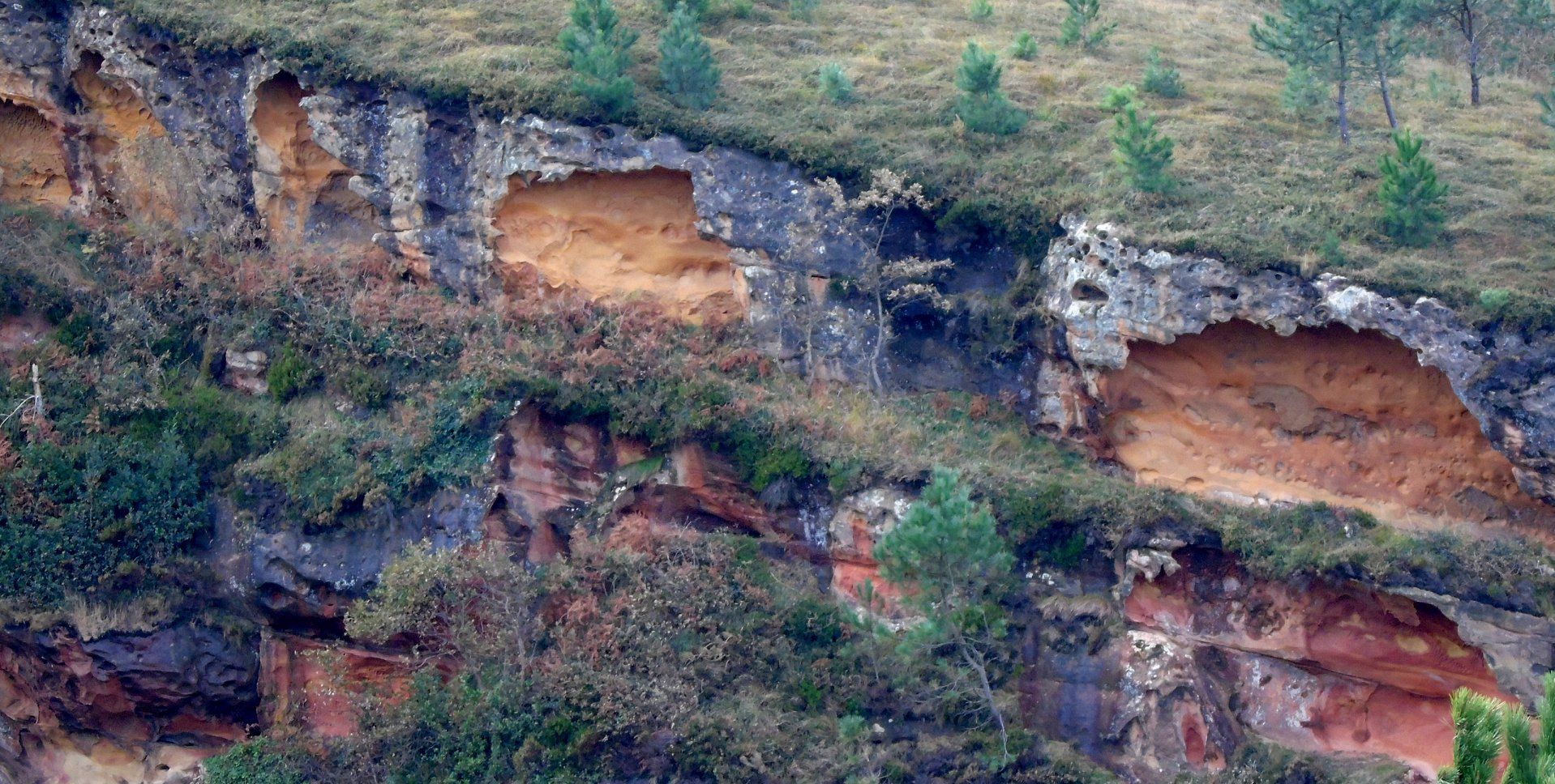 78220975_10217638810353599_5627102878037442560_o