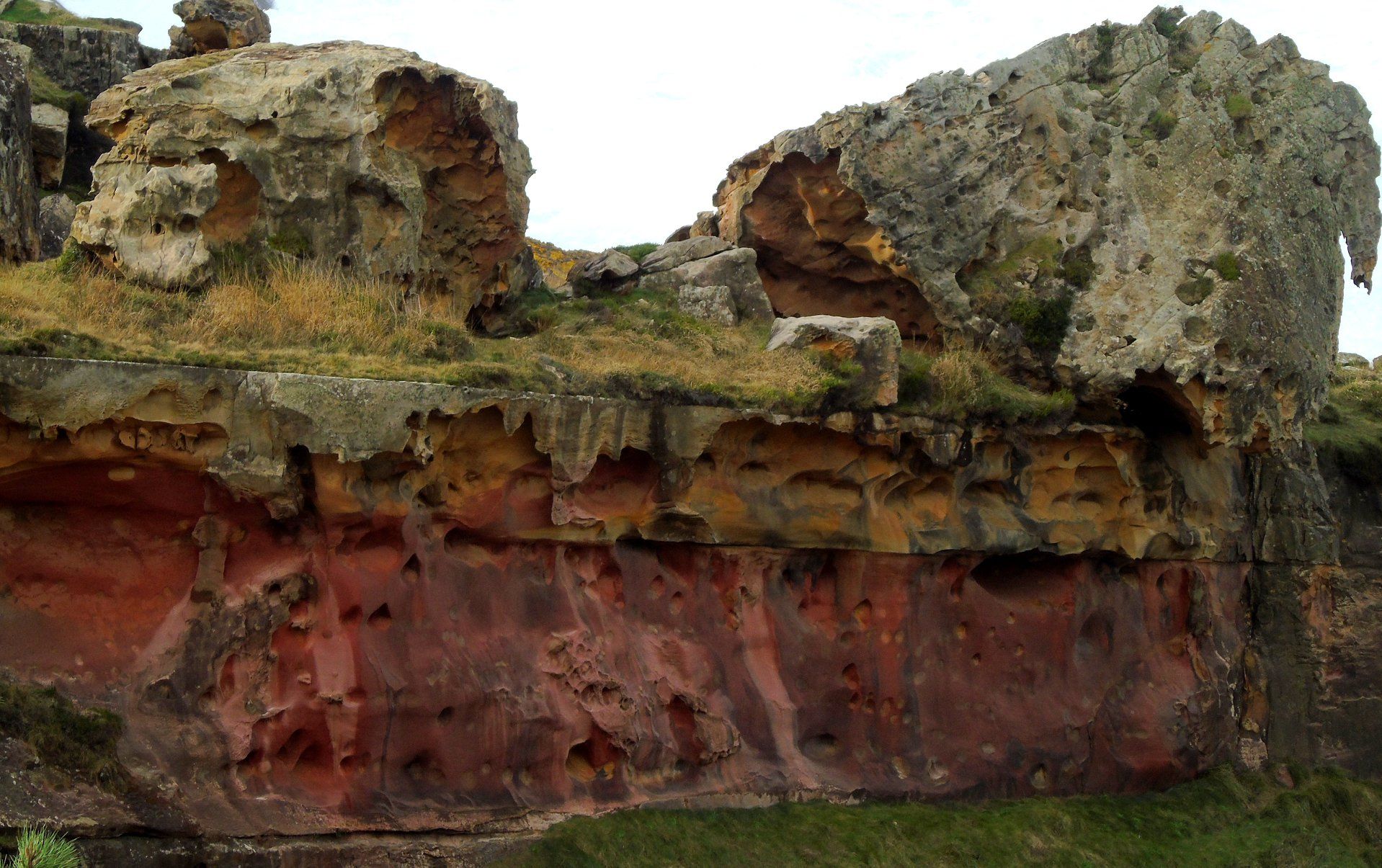 78493627_10217638810553604_3322940214648766464_o