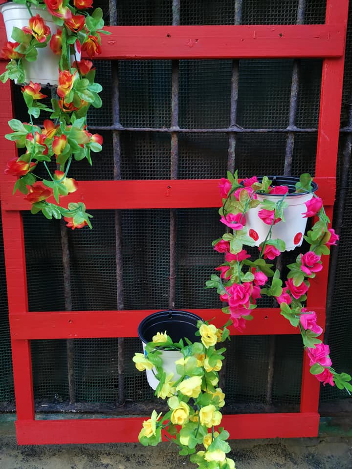 87123208_10218418478204808_8604099978257760256_n