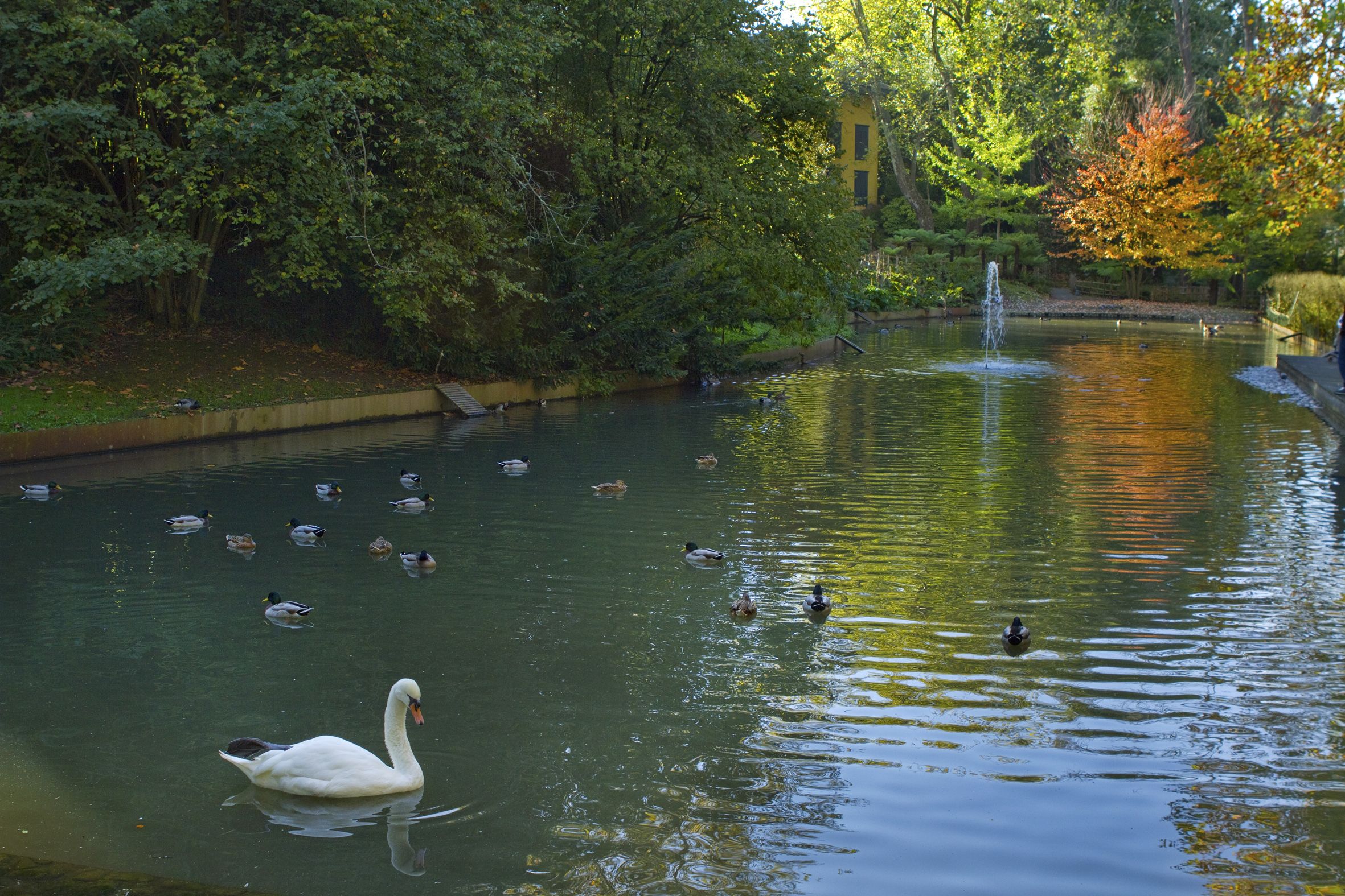 03. PARQUES DE SS. EXCURSION. DARIO GARRIDO