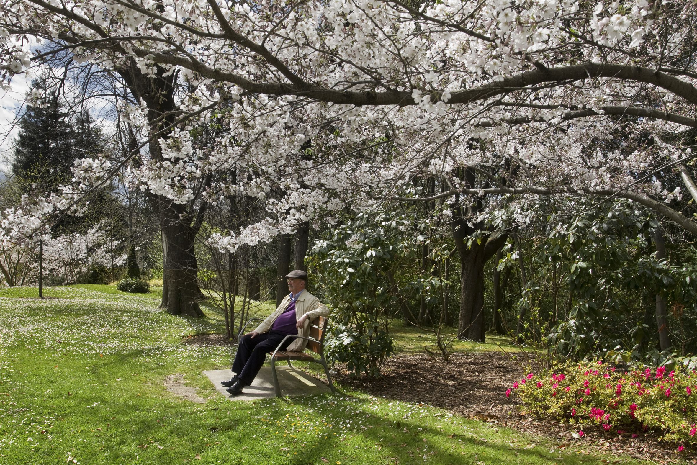 03. PARQUES DE SS. RECORRIDO 2. CRISTINA ENEA. DARIO GARRIDO